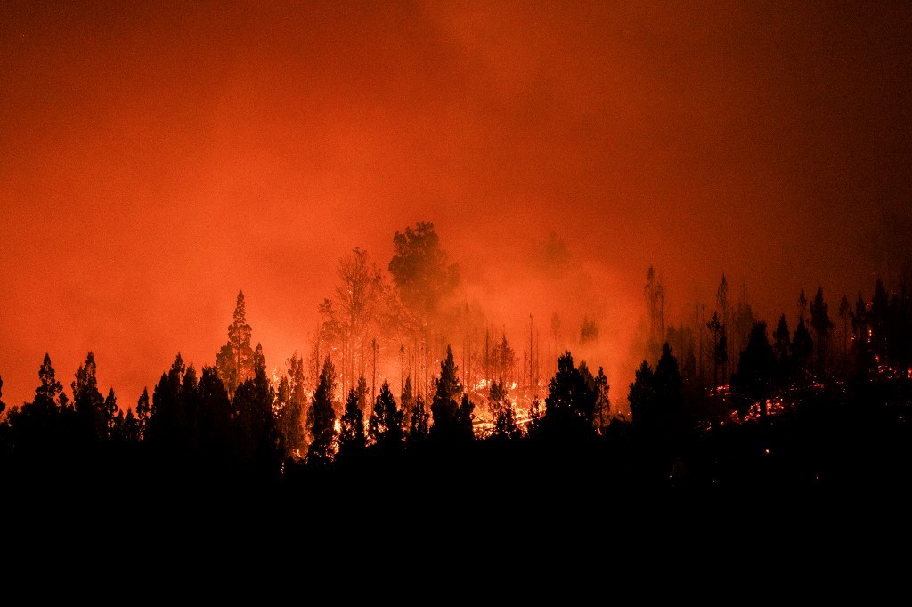 Incendios en Chubut: el fuego consumió más de 50 mil hectáreas y los brigadistas esperan dos jornadas de lluvias leves | Clima, naturaleza y medio ambiente