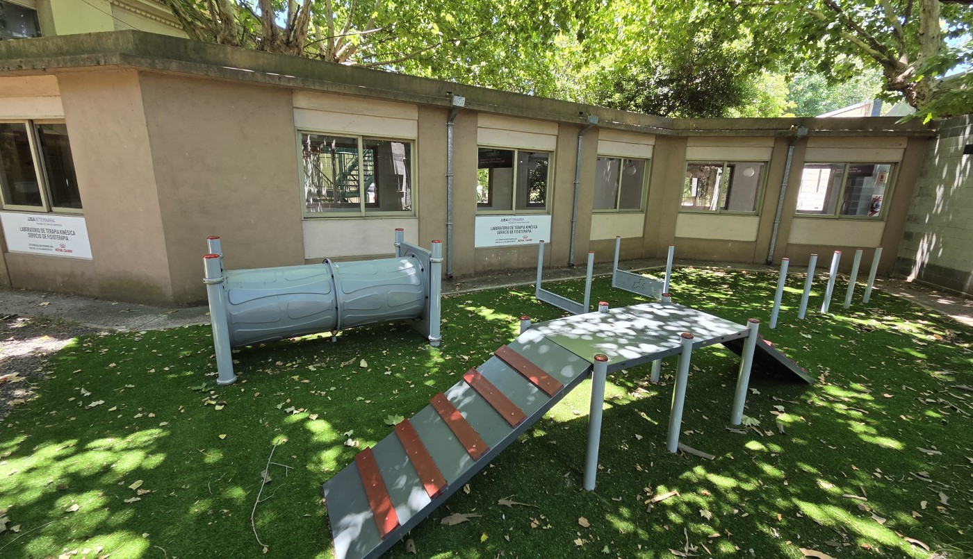 La UBA inaugura un laboratorio kinésico para el abordaje integral de la rehabilitación animal | Actualidad