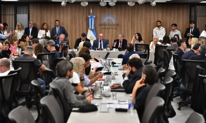 Audiencias por la reforma de la Ley de Glaciares: comienza hoy la primera jornada con 200 oradores presenciales | Política