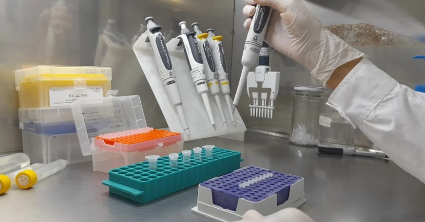 Brasil investiga a una científica argentina acusada de robar un virus en un laboratorio restringido | Actualidad