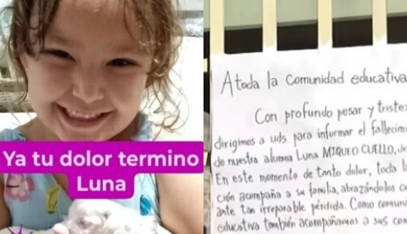 Investigan la muerte de una nena en una escuela: se tropezó y se golpeó contra un banco de cemento | Actualidad