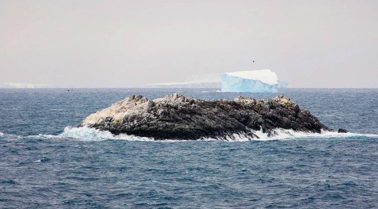 Una isla remota de 6.500 m² quedó expuesta en una zona peligrosa de la Antártida y sorprende a los navegantes | Clima, naturaleza y medio ambiente