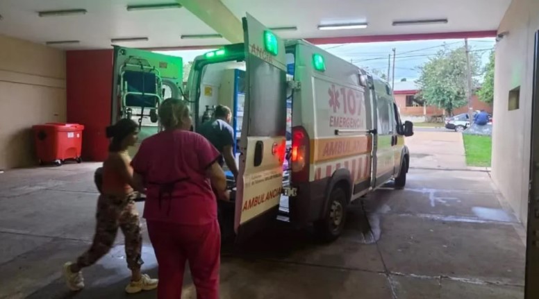 Horror en Misiones: un nene de 7 años fue atacado por siete perros mientras jugaba en su casa | Actualidad