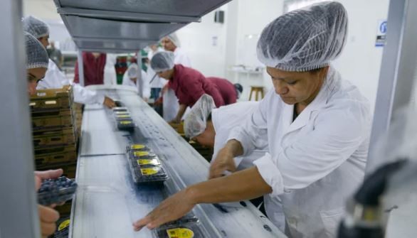 Pymes alertan en Diputados por la caída del consumo y un nuevo consenso fiscal | Política