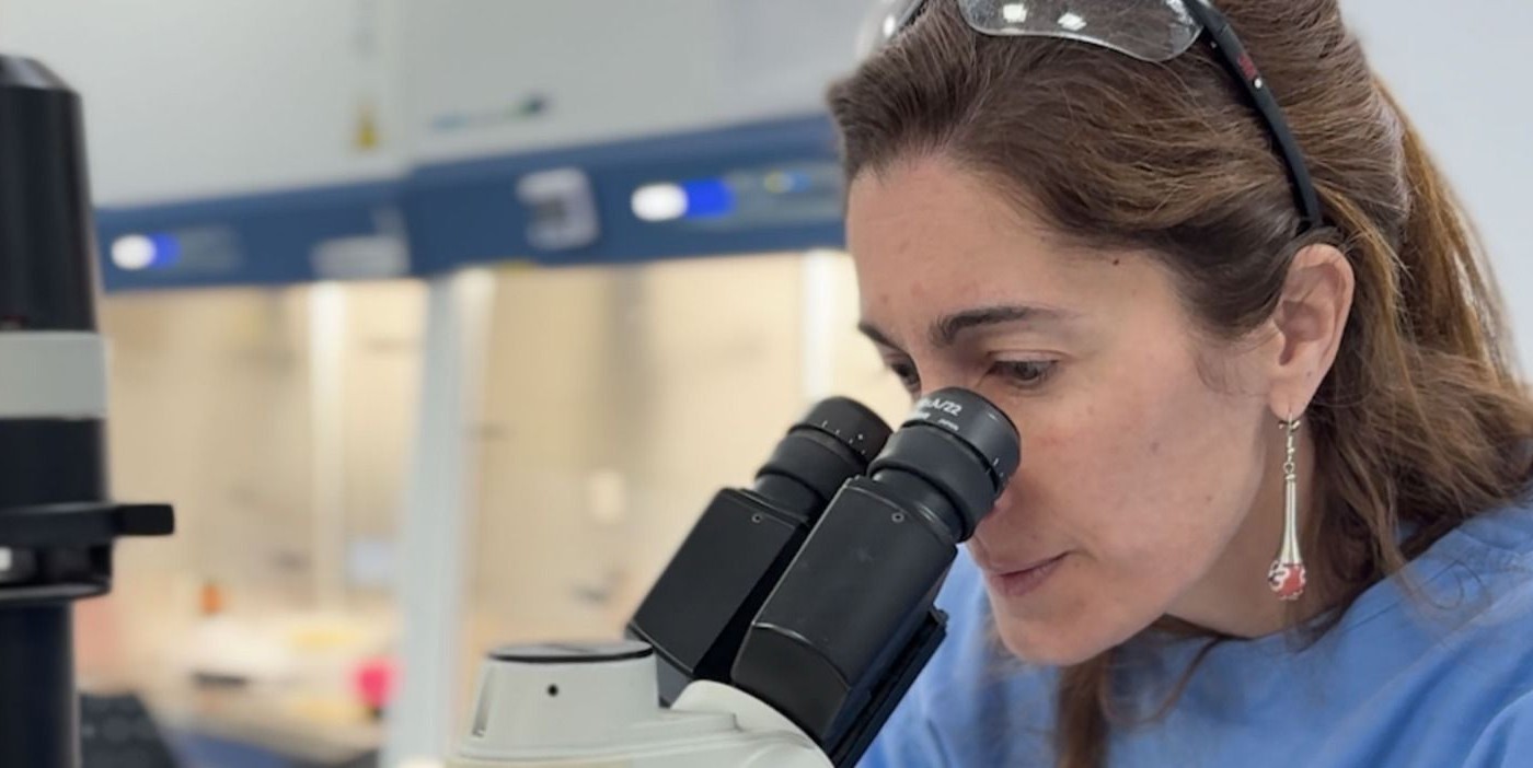 La UBA desarrolla una estrategia innovadora para acortar el tratamiento contra la tuberculosis | Actualidad