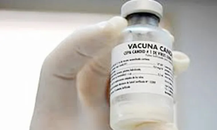 Alerta por ébola: qué es y cuál es la situación en Argentina | Actualidad