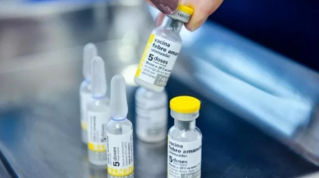 Fiebre amarilla: ante el brote detectado en Bolivia, realizan una vacunación focalizada en Salta | Actualidad