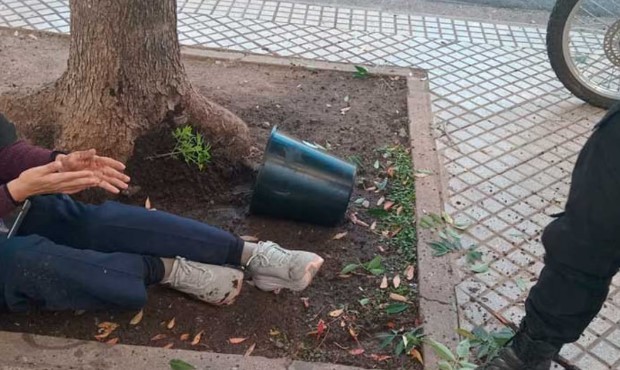 Rosario: caminaba por una vereda y le cayó encima una maceta con una planta de marihuana | Actualidad