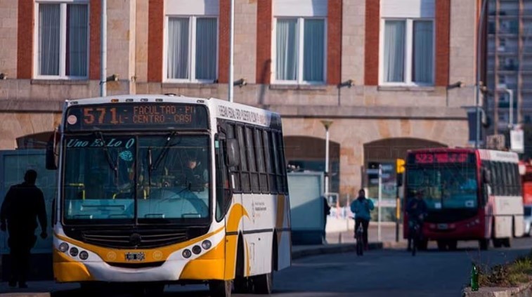 Mar del Plata: sigue el paro de colectivos | Actualidad