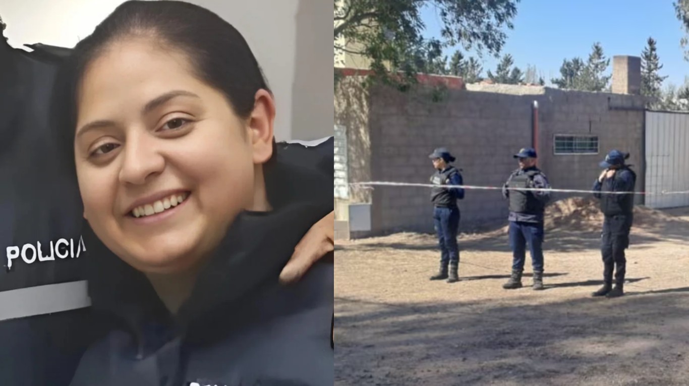 Confirmaron la prisión perpetua para Marina Silva, la expolicía que mató a sus dos hijos en San Luis | Actualidad