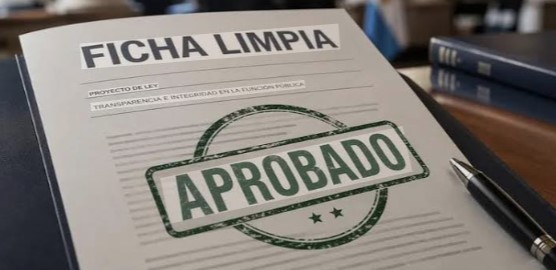 Diputados de Provincias Unidas y de la CC afinan una estrategia para relanzar Ficha Limpia | Política