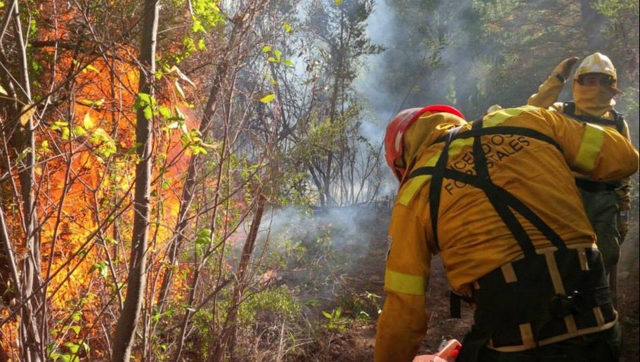 Brigadistas lograron contener el avance del fuego en Puerto Patriada | Actualidad