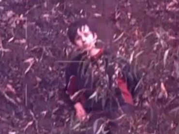 Luego de cuatro días, rescataron a un nene autista en un bosque | Internacionales