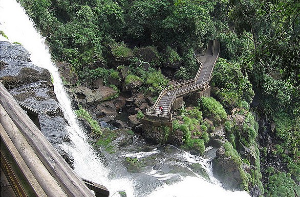 Hallaron muerto en Cataratas de Iguazú a docente que había sido denunciado por abusar de un alumno | Actualidad
