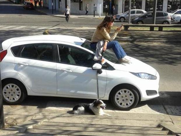 Foto: se sentó arriba del vidrio delantero de un auto mal estacionado para increpar al dueño | Actualidad