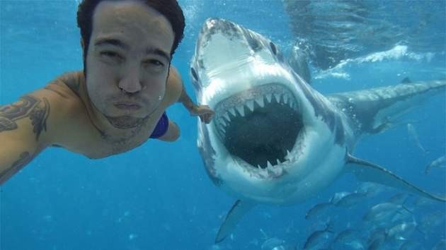 En el 2015 ya hubo más muertos por selfies que por ataques de tiburones | Curiosidades