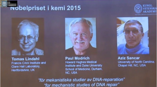 Nobel de Química para investigadores de mecanismos de reparación del ADN | Internacionales