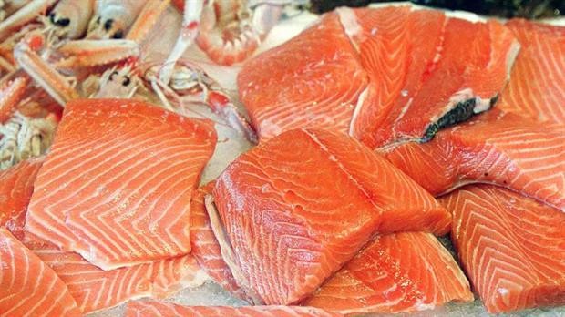 Aprobaron al salmón como el primer animal transgénico para consumo humano | Curiosidades