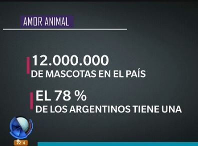 Infografía: amor animal | Actualidad