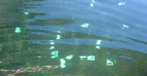 Hallan 100 mil euros flotando en un río de Austria | Curiosidades