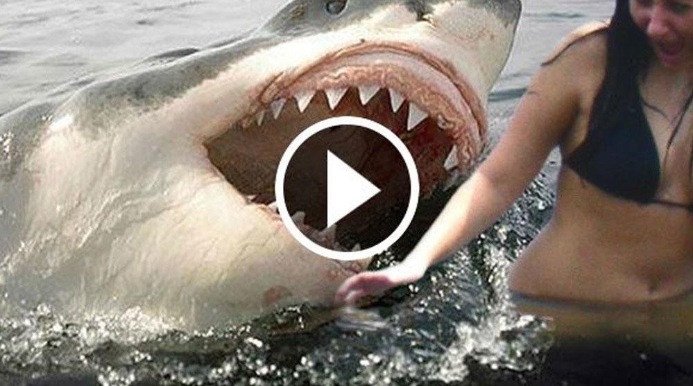 Crean un detector de mentiras para evitar videos falsos en los medios | Tecno