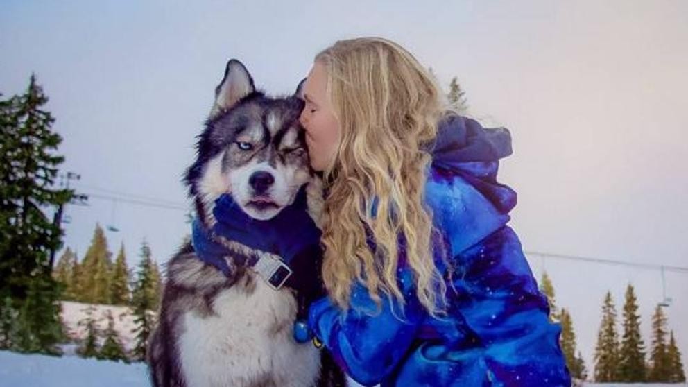 Kyro, el perro husky que salvó a su dueña de los abusos de su novio | Curiosidades