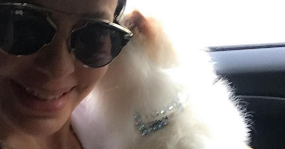 Daniela Cardone embalsamó a su gato y lo llevó a la Basílica de Luján | Espectáculos