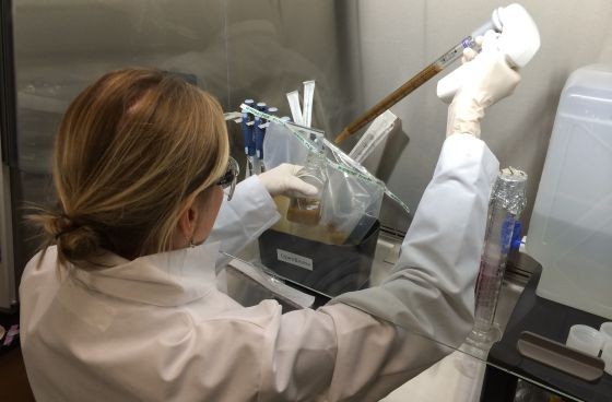 Holanda abre su primer "banco de materia fecal" | Internacionales