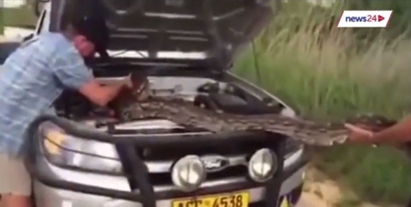 #EsViral Una sorpresa en el motor | Redes