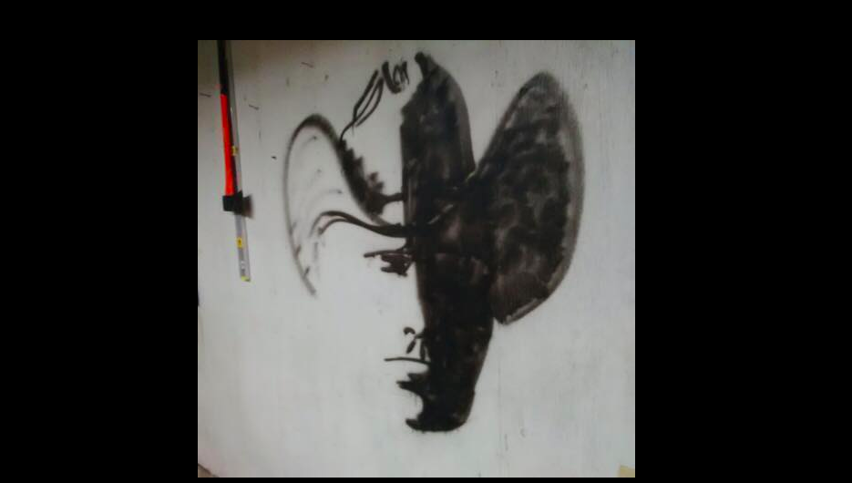 Desafío: La imagen que está volviendo locos a los usuarios de redes sociales | Redes