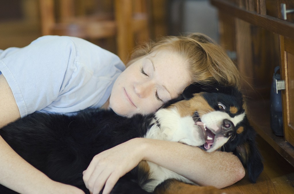 Estudios afirman que a los perros no les gusta que los abracen | Curiosidades