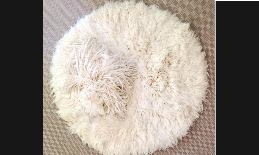 Mark Zuckerberg compartió fotos del camuflaje de su perro y se hicieron virales | Curiosidades