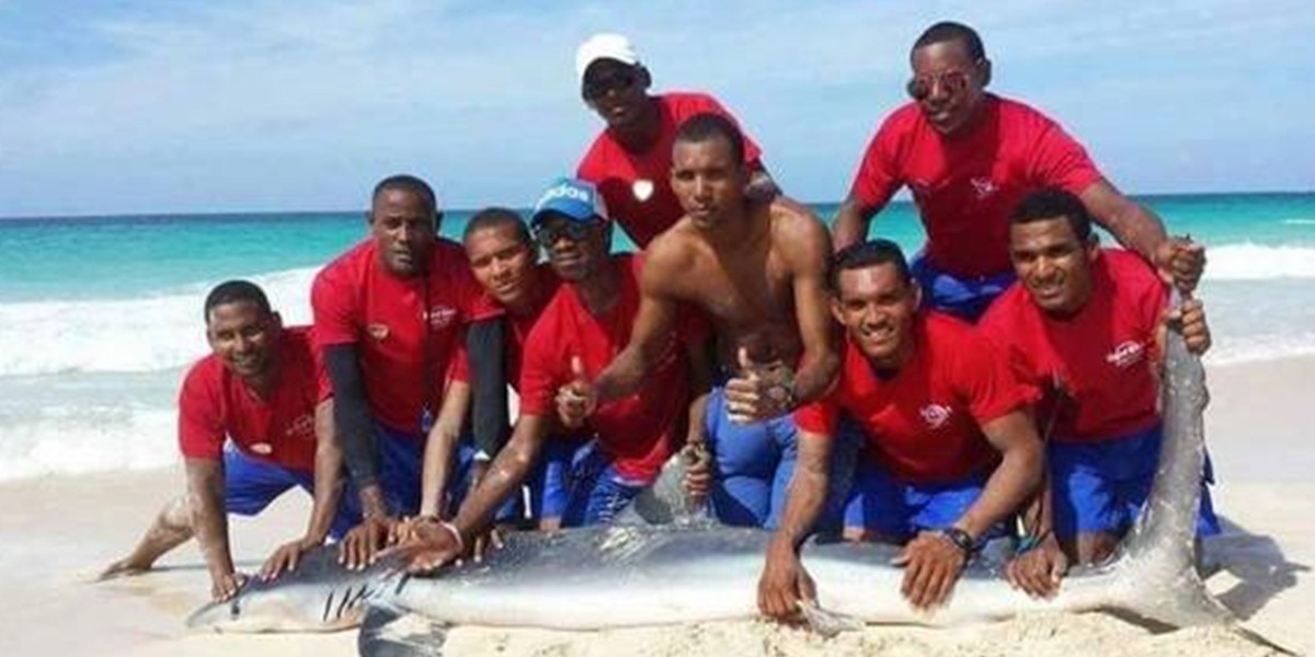 Punta Cana: capturan un tiburón, se sacan fotos y lo dejan morir | Internacionales