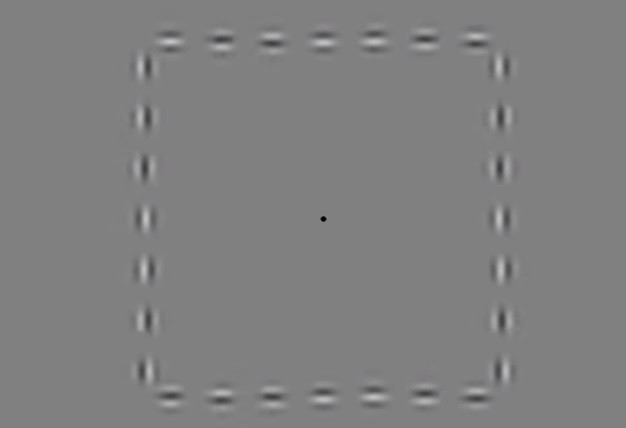 Eligen la mejor ilusión óptica del 2016 | Redes