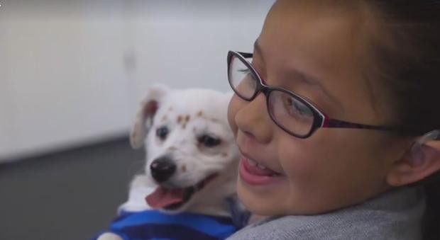 La tierna historia de la nena y el cachorro sordos que se comunican por lenguaje de señas | Internacionales