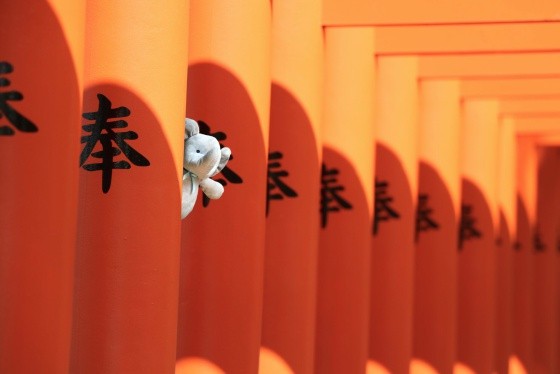 Publican fotos de un peluche alrededor del mundo para consolar a un nene | Redes