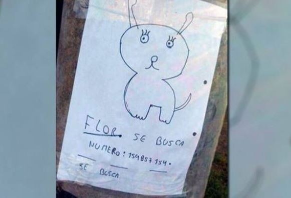 Dos nenes buscan a su perra con un "retrato" porque no tienen una foto | Actualidad
