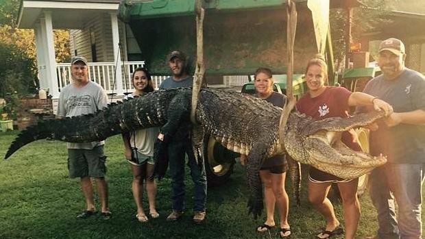 La familia que capturó un caimán gigante en Estados Unidos | Internacionales