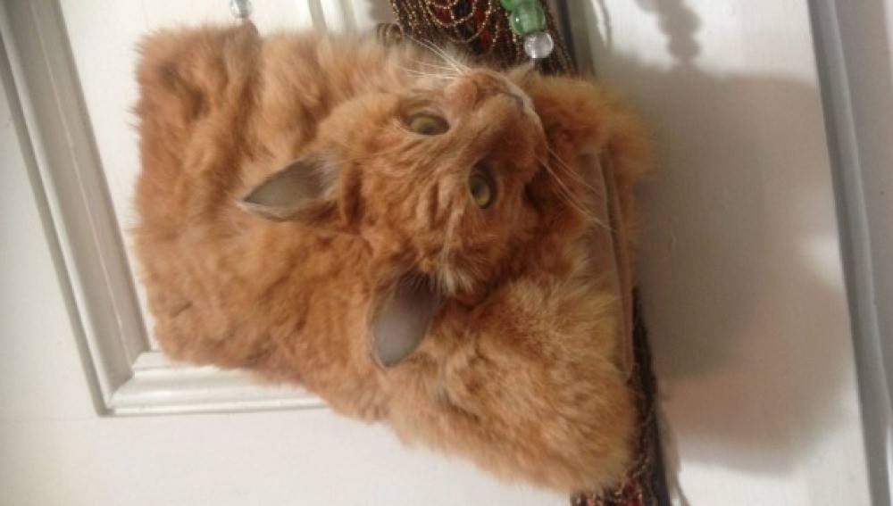 Subastan un bolso hecho con un gato muerto | Curiosidades