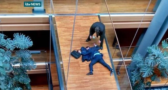 Un diputado europeo se agarró a las trompadas con otro legislador del partido | Internacionales