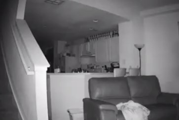Escuchaba ruidos de madrugada, puso una cámara y esto es lo que descubrió | Curiosidades