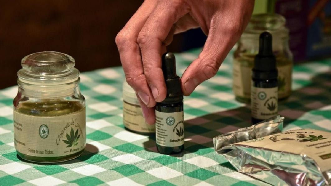 Presentan proyecto para que se habilite en la provincia de Buenos Aires el uso de marihuana medicinal | Actualidad
