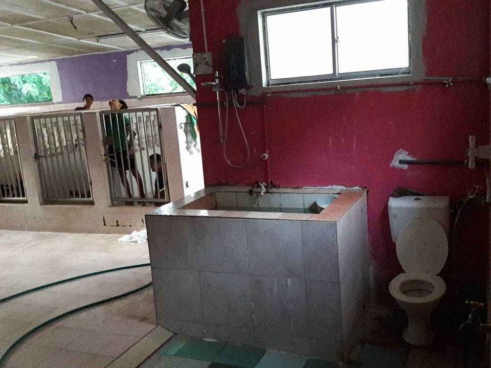 Denuncian que una residencia encierra a discapacitados en jaulas | Internacionales