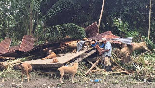 El anciano que se negó a abandonar a sus perros tras el paso de un huracán devastador en Costa Rica | Internacionales