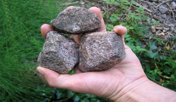 Docente denunció que un alumno le tiró piedras tras aplazarlo | Actualidad