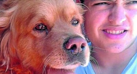 "Tuto", el perro que viajó 2.000 kilómetros para encontrarse con sus dueños | Redes