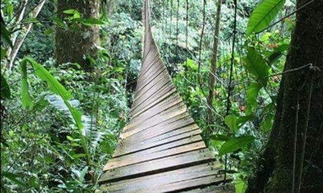 Al menos 11 muertos y 14 heridos por la caída de un puente colgante en Colombia | Internacionales