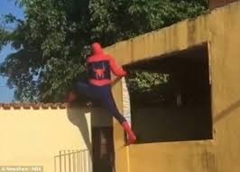 Video viral: el hombre jugaba a ser spiderman y mirá lo que le pasó | Curiosidades