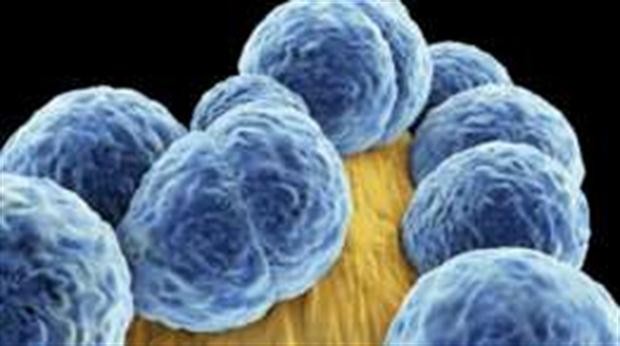 Alerta en Estados Unidos: murió una mujer por una bacteria "resistente a todo" | Internacionales