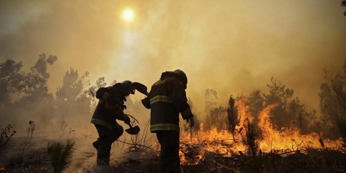 Continúan fuera de control los incendios forestales en Chile: al menos diez muertos | Internacionales
